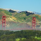 The Golden Gate